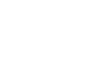 Valley Professional Cleaning Service